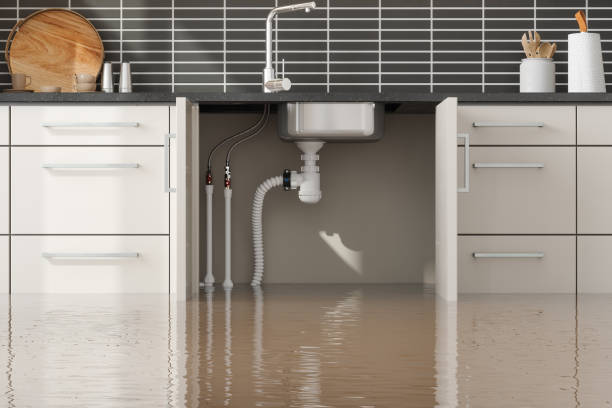 Best Sewage cleanup and water damage restoration  in Helena, OK