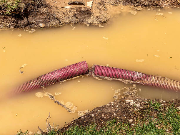Best Water damage contractors near me  in Helena, OK