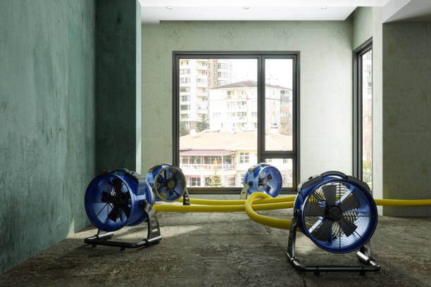 Best Water damage cleanup near me  in Helena, OK